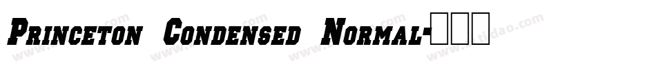 Princeton Condensed Normal字体转换